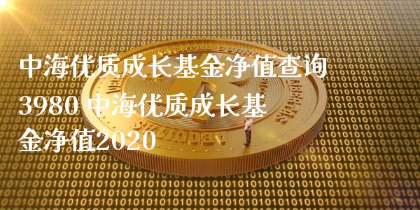 中海优质成长基金净值查询3980 中海优质成长基金净值2020