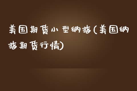 美国期货小型纳指(美国纳指期货行情)