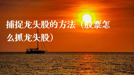 捕捉龙头股的方法（股票怎么抓龙头股）