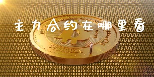 主力合约在哪里看
