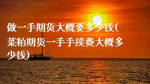做一手期货大概要多少钱(菜粕期货一手手续费大概多少钱)
