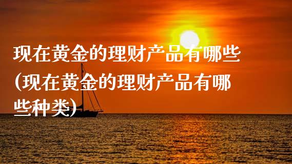 现在黄金的理财产品有哪些(现在黄金的理财产品有哪些种类)