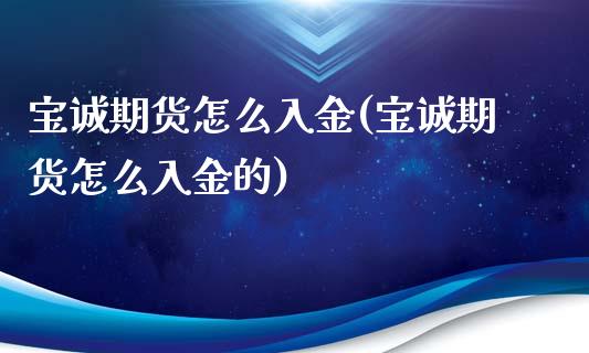 宝诚期货怎么入金(宝诚期货怎么入金的)