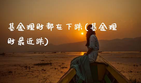 基金理财都在下跌(基金理财最近跌)