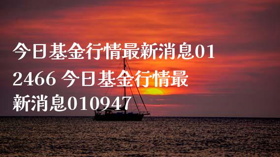 今日基金行情最新消息012466 今日基金行情最新消息010947