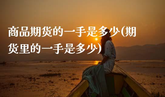 商品期货的一手是多少(期货里的一手是多少)_期货理财_第1张_宇龙理财网 商品期货的一手是多少(期货里的一手是多少)_https://www.dglong8.com_期货理财_第1张
