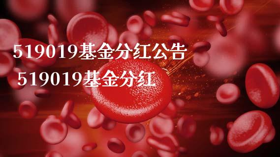 519019基金分红公告 519019基金分红