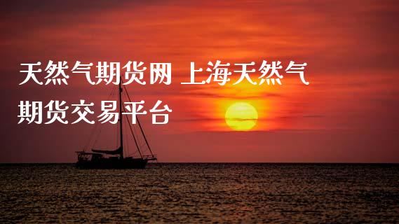 天然气期货网 上海天然气期货交易平台