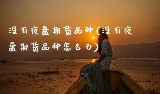没有夜盘期货品种(没有夜盘期货品种怎么办)