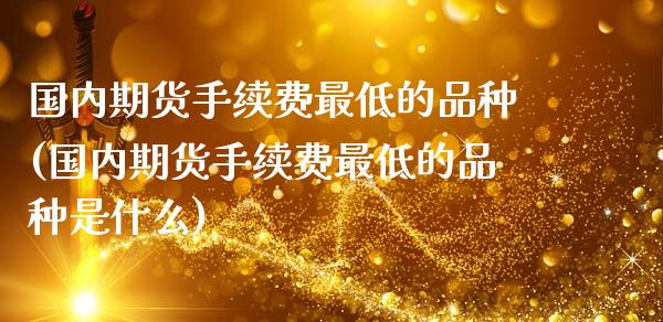 国内期货手续费最低的品种(国内期货手续费最低的品种是什么)