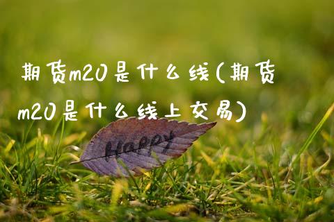 期货m20是什么线(期货m20是什么线上交易)