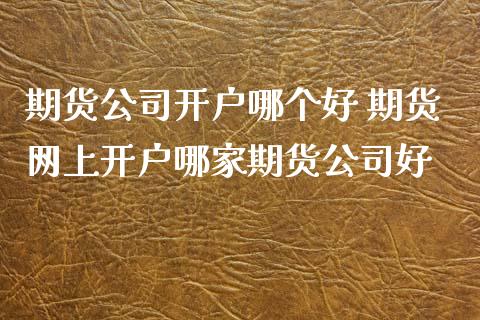 期货公司开户哪个好 期货网上开户哪家期货公司好