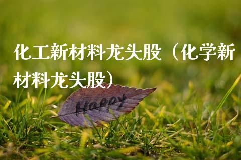 化工新材料龙头股（化学新材料龙头股）