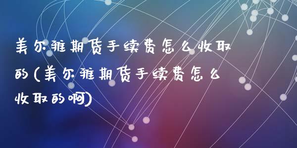 美尔雅期货手续费怎么收取的(美尔雅期货手续费怎么收取的啊)