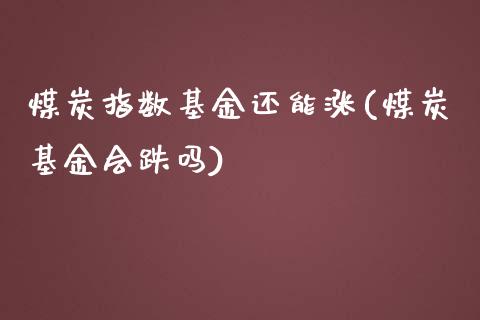 煤炭指数基金还能涨(煤炭基金会跌吗)