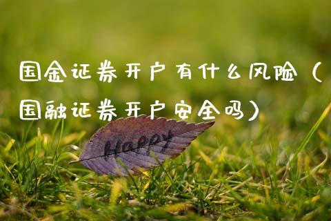国金证券开户有什么风险（国融证券开户安全吗）