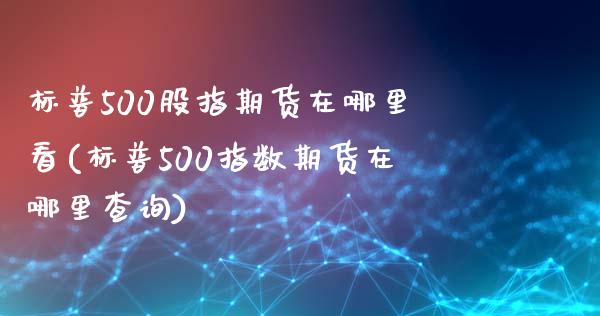 标普500股指期货在哪里看(标普500指数期货在哪里查询)