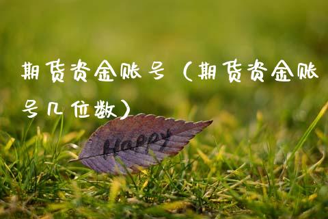期货资金账号（期货资金账号几位数）