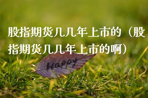 股指期货几几年上市的（股指期货几几年上市的啊）