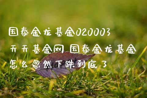 国泰金龙基金020003天天基金网 国泰金龙基金怎么忽然下跌到底了_基金理财_第1张_宇龙理财网 国泰金龙基金020003天天基金网 国泰金龙基金怎么忽然下跌到底了_https://www.dglong8.com_基金理财_第1张
