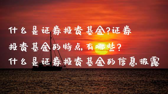 什么是证券投资基金?证券投资基金的特点有哪些? 什么是证券投资基金的信息披露_基金理财_第1张_宇龙理财网 什么是证券投资基金?证券投资基金的特点有哪些? 什么是证券投资基金的信息披露_https://www.dglong8.com_基金理财_第1张
