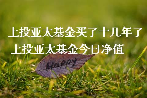 上投亚太基金买了十几年了 上投亚太基金今日净值