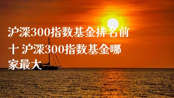 沪深300指数基金排名前十 沪深300指数基金哪家最大_https://www.dglong8.com_期货理财_第1张