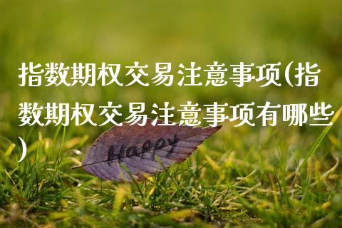 指数期权交易注意事项(指数期权交易注意事项有哪些)