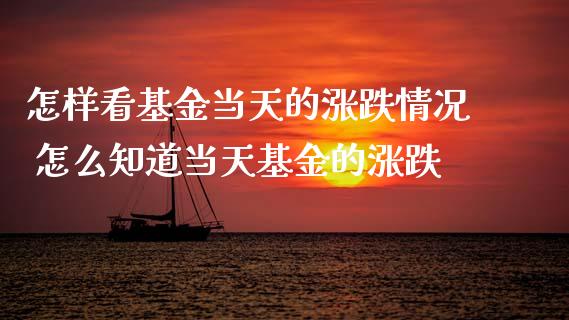 怎样看基金当天的涨跌情况 怎么知道当天基金的涨跌