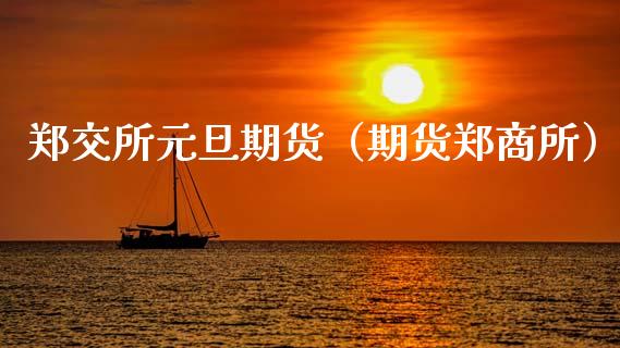 郑交所元旦期货（期货郑商所）