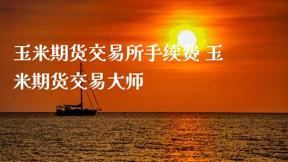 玉米期货交易所手续费 玉米期货交易
