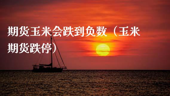 期货玉米会跌到负数（玉米期货跌停）