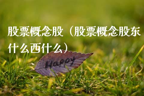 股票概念股（股票概念股东什么西什么）