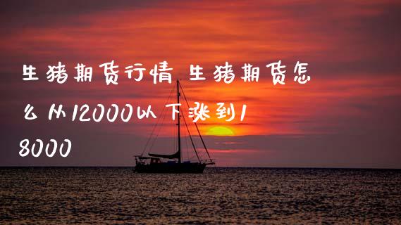 生猪期货行情 生猪期货怎么从12000以下涨到18000