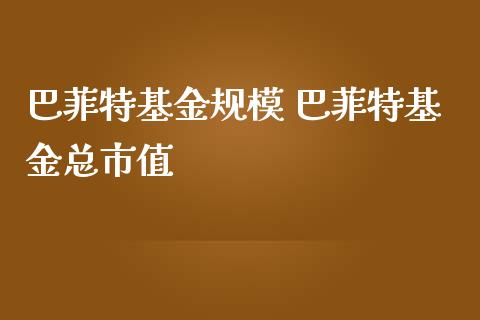巴菲特基金规模 巴菲特基金总市值