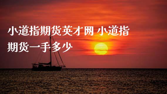 小道指期货英才网 小道指期货一手多少