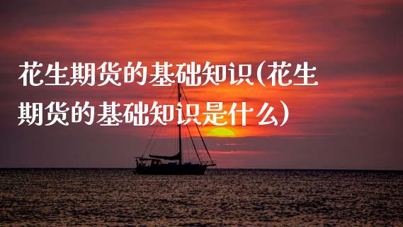 花生期货的基础知识(花生期货的基础知识是什么)