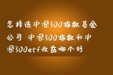 怎样选沪深300指数基金公司 沪深300指数和沪深300etf收益哪个好_https://www.dglong8.com_期货理财_第1张