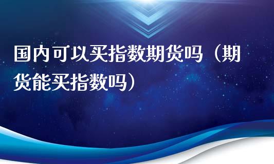国内可以买指数期货吗（期货能买指数吗）