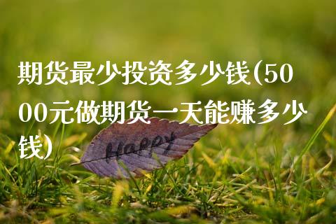 期货最少投资多少钱(5000元做期货一天能赚多少钱)