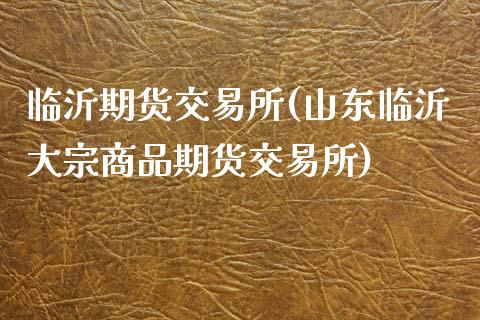 临沂期货交易所(山东临沂大宗商品期货交易所)