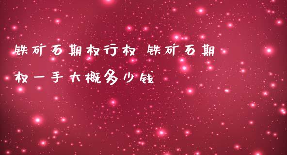 铁矿石期权行权 铁矿石期权一手大概多少钱