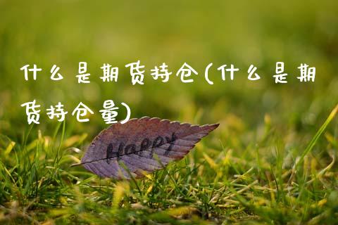 什么是期货持仓(什么是期货持仓量)