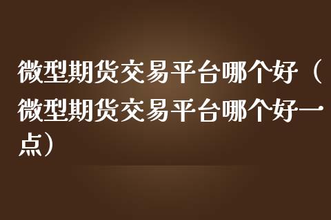 微型期货交易平台哪个好（微型期货交易平台哪个好一点）