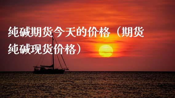 纯碱期货今天的价格（期货纯碱现货价格）