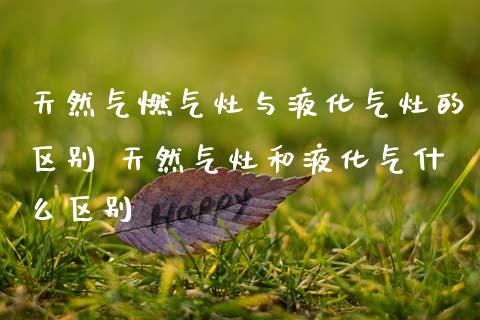 天然气燃气灶与液化气灶的区别 天然气灶和液化气什么区别