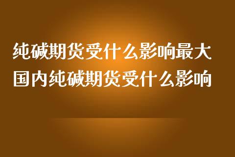 纯碱期货受什么影响最大 国内纯碱期货受什么影响
