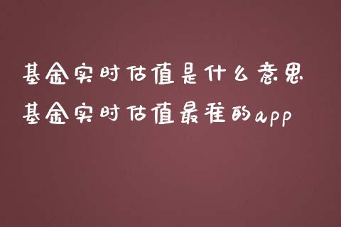 基金实时估值是什么意思 基金实时估值最准的app