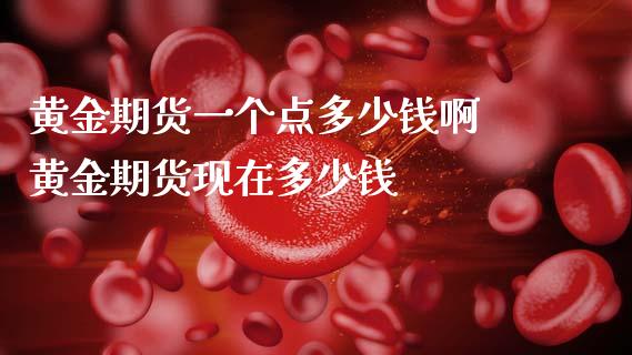 黄金期货一个点多少钱啊 黄金期货现在多少钱