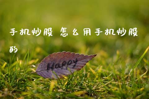手机炒股 怎么用手机炒股的